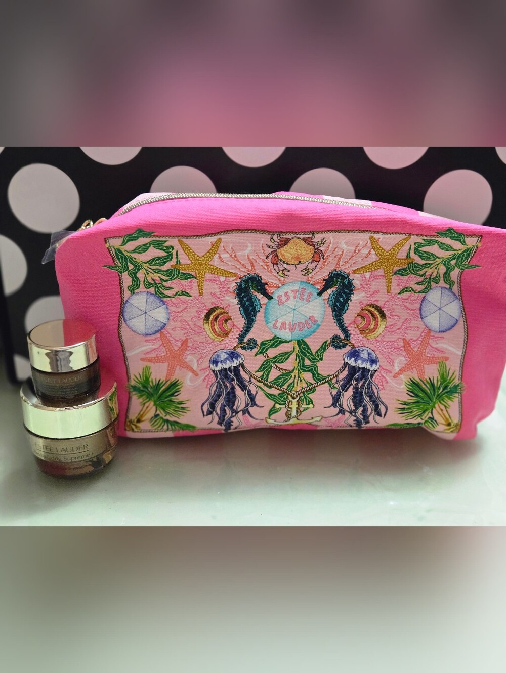 ✨️EL Pouch + Minis Set✨️